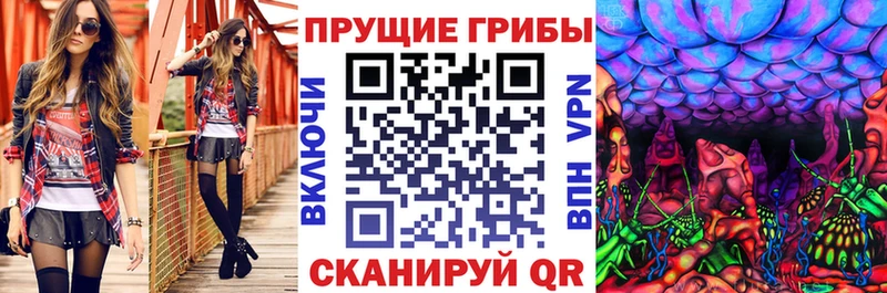 Галлюциногенные грибы MAGIC MUSHROOMS  Купить закладки  Нюрба 